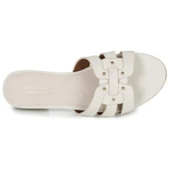 André Perpetua -Andhers Tienda 16734995 500 F