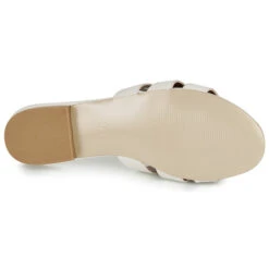 André Perpetua -Andhers Tienda 16734995 500 G