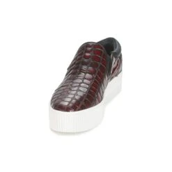 Ash Karma -Andhers Tienda 1822191 500 C