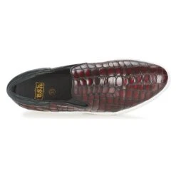 Ash Karma -Andhers Tienda 1822191 500 F