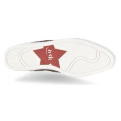 Ash Karma -Andhers Tienda 1822191 500 G