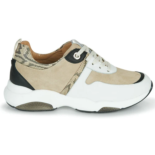 JB Martin Wilo 4 JB Martin Wilo - Imagen 2