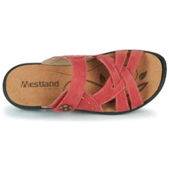 Westland Ibiza 99 -Andhers Tienda 21255621 500 F