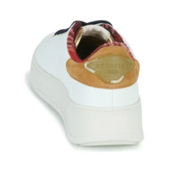 Serafini J. Connors -Andhers Tienda 22725590 500 E