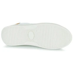 Serafini J. Connors -Andhers Tienda 22725590 500 G