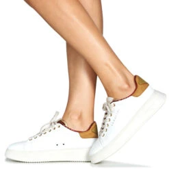 Serafini J. Connors -Andhers Tienda 22725590 500 H