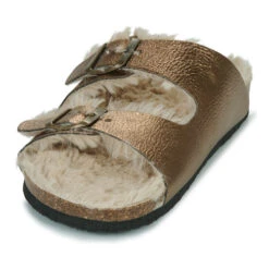 Plakton Beta -Andhers Tienda 22873287 500 C