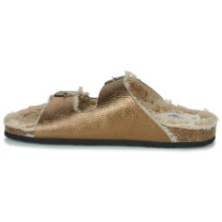 Plakton Beta -Andhers Tienda 22873287 500 D