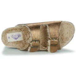 Plakton Beta -Andhers Tienda 22873287 500 F