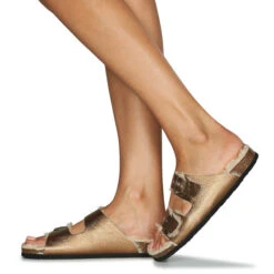 Plakton Beta -Andhers Tienda 22873287 500 H