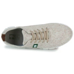 Dream In Green New 12 -Andhers Tienda 23305584 500 F