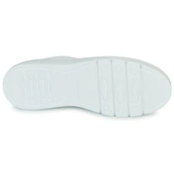 Fluchos Pompas -Andhers Tienda 24239244 500 G