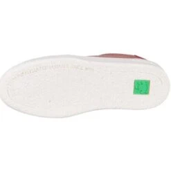 El Naturalista Geo -Andhers Tienda 25441553 500 D