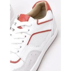 Krack Yali -Andhers Tienda 25694413 500 E