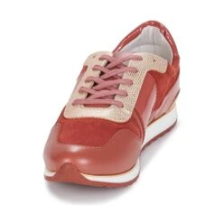 André Sprint -Andhers Tienda 8397162 500 C