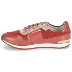 André Sprint -Andhers Tienda 8397162 500 D