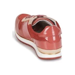 André Sprint -Andhers Tienda 8397162 500 E