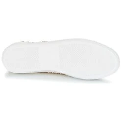 André Tresse 15 André Tresse -Andhers Tienda 8401355 500 G